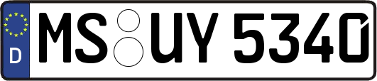MS-UY5340