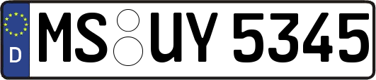 MS-UY5345