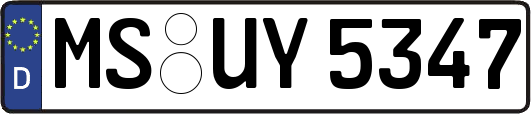 MS-UY5347