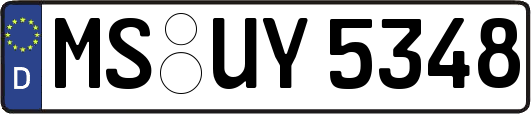 MS-UY5348