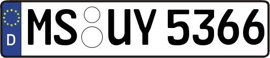 MS-UY5366