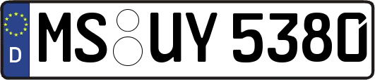 MS-UY5380