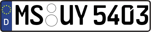 MS-UY5403