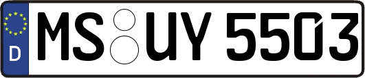 MS-UY5503