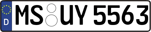 MS-UY5563