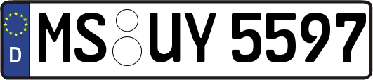 MS-UY5597