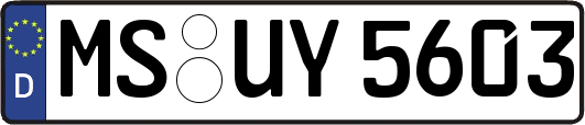 MS-UY5603