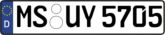 MS-UY5705