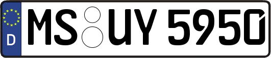 MS-UY5950