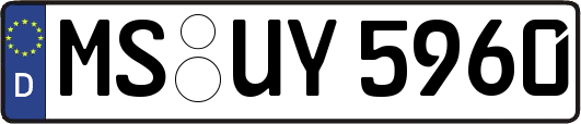 MS-UY5960