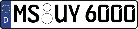 MS-UY6000