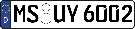 MS-UY6002