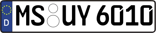 MS-UY6010
