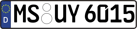 MS-UY6015