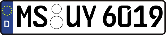 MS-UY6019
