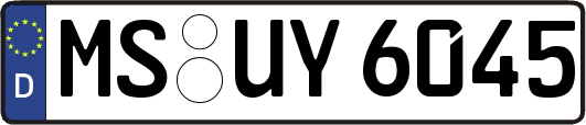 MS-UY6045