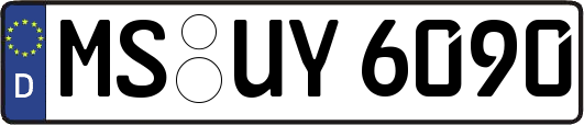 MS-UY6090