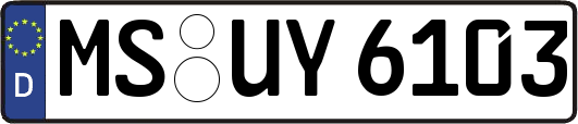 MS-UY6103