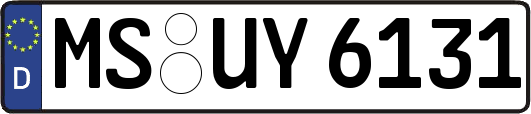 MS-UY6131