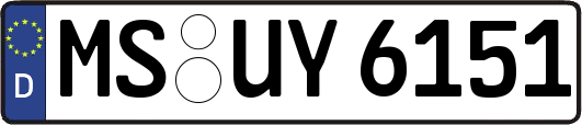 MS-UY6151