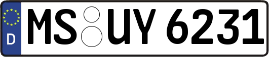 MS-UY6231