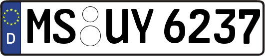 MS-UY6237