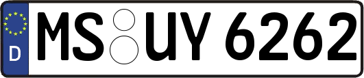 MS-UY6262