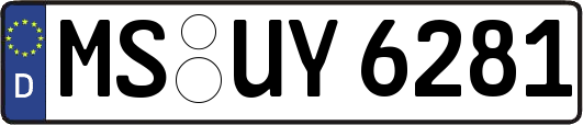 MS-UY6281