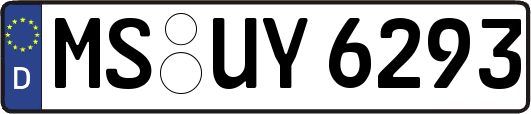 MS-UY6293