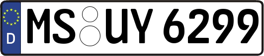 MS-UY6299