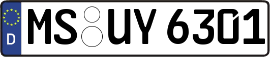 MS-UY6301