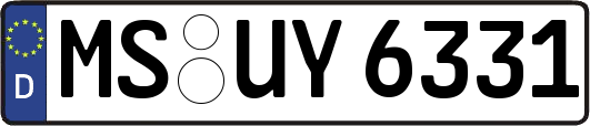 MS-UY6331