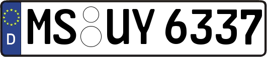 MS-UY6337