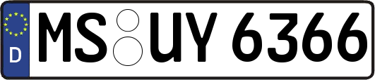 MS-UY6366