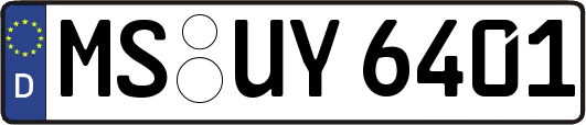 MS-UY6401