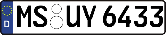 MS-UY6433