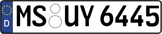MS-UY6445
