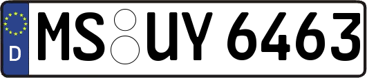 MS-UY6463