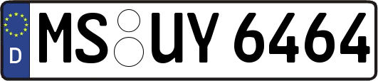 MS-UY6464