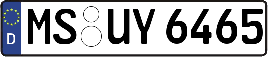 MS-UY6465