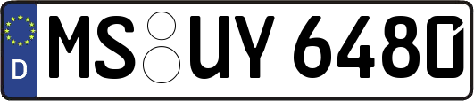 MS-UY6480