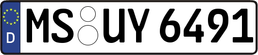 MS-UY6491