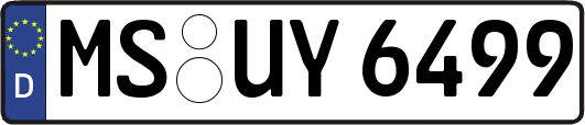 MS-UY6499