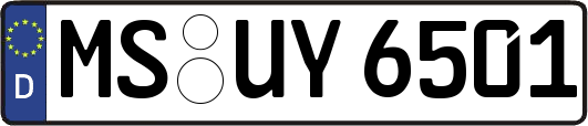 MS-UY6501