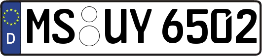 MS-UY6502
