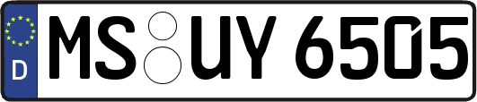 MS-UY6505