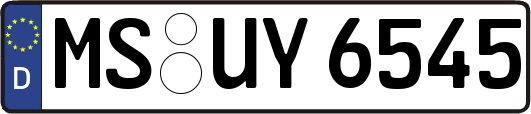 MS-UY6545