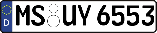 MS-UY6553