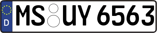 MS-UY6563