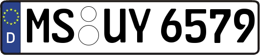 MS-UY6579